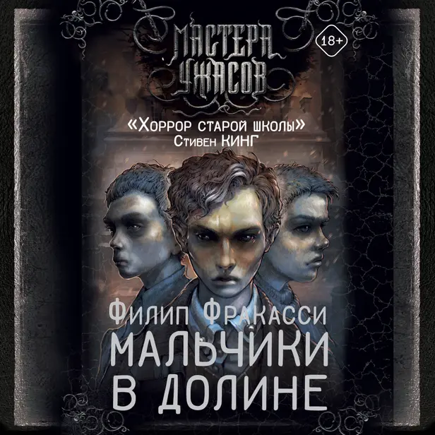 Мальчики в долине. Обложка