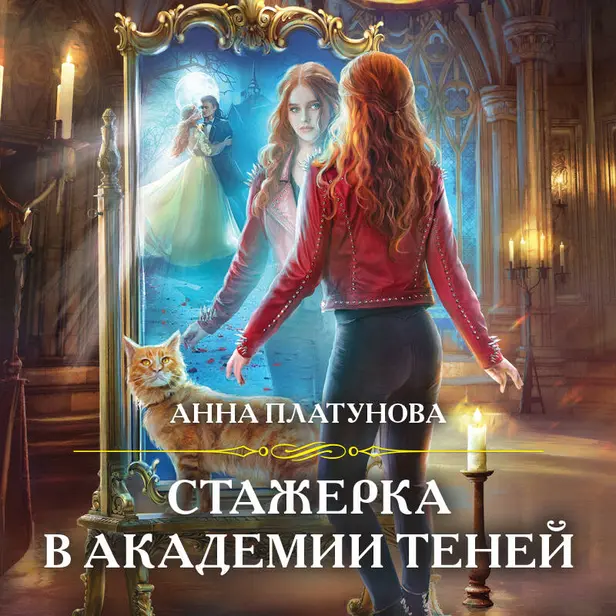 Стажерка в Академии Теней. Обложка