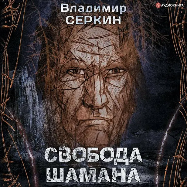 Свобода шамана. Обложка
