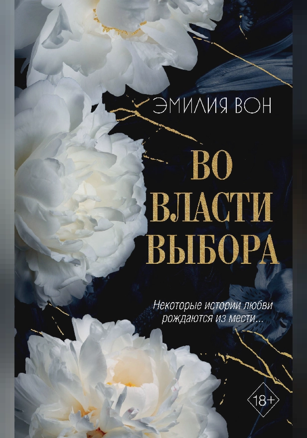 Во власти выбора. Обложка