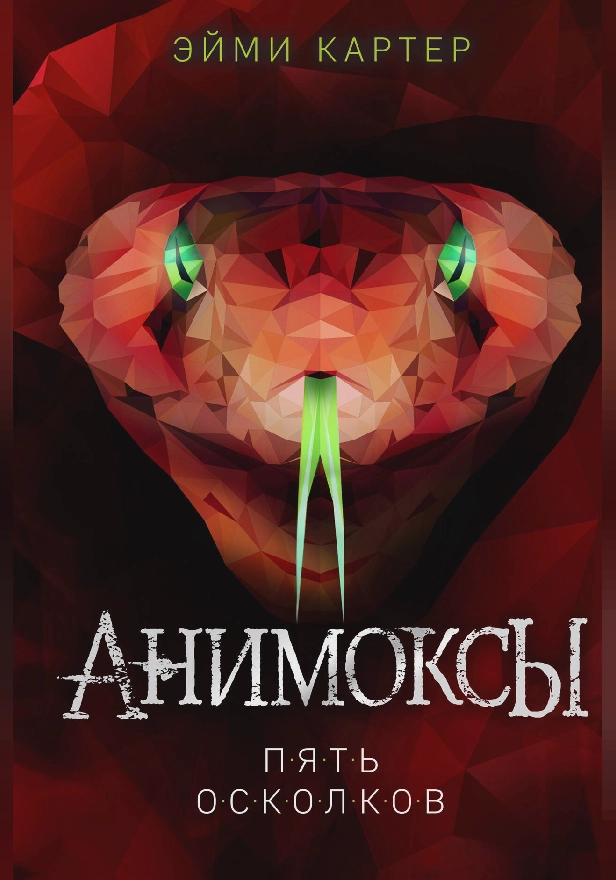 Пять Осколков. Обложка