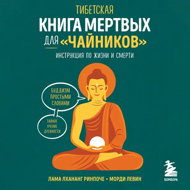 Тибетская Книга мертвых для "чайников". Инструкция по жизни и смерти. Обложка