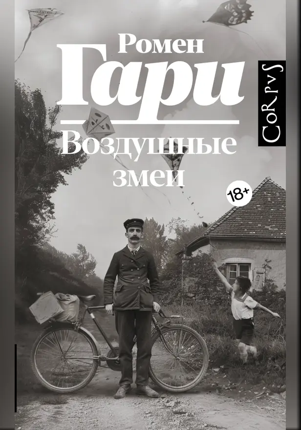 Воздушные змеи. Обложка