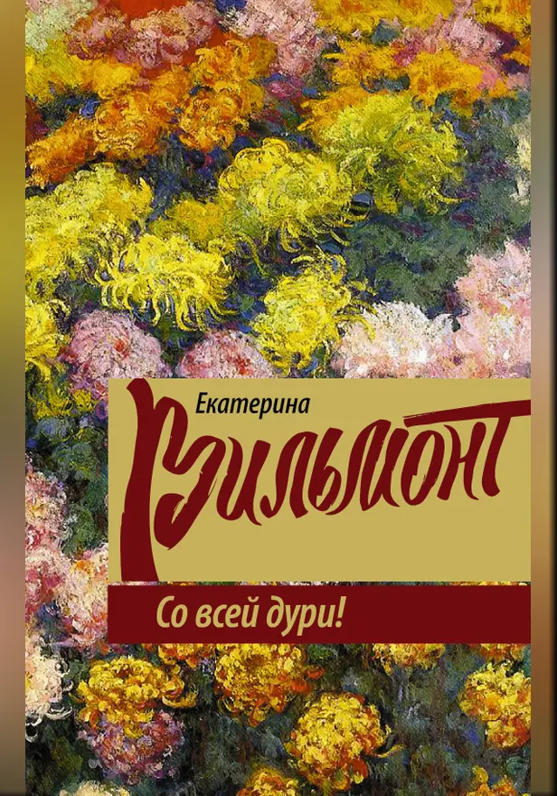 Со всей дури!. Обложка