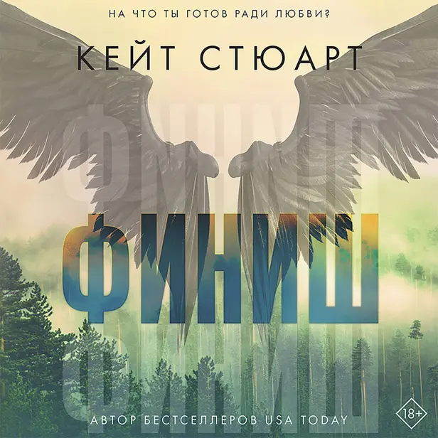 Финиш. Обложка