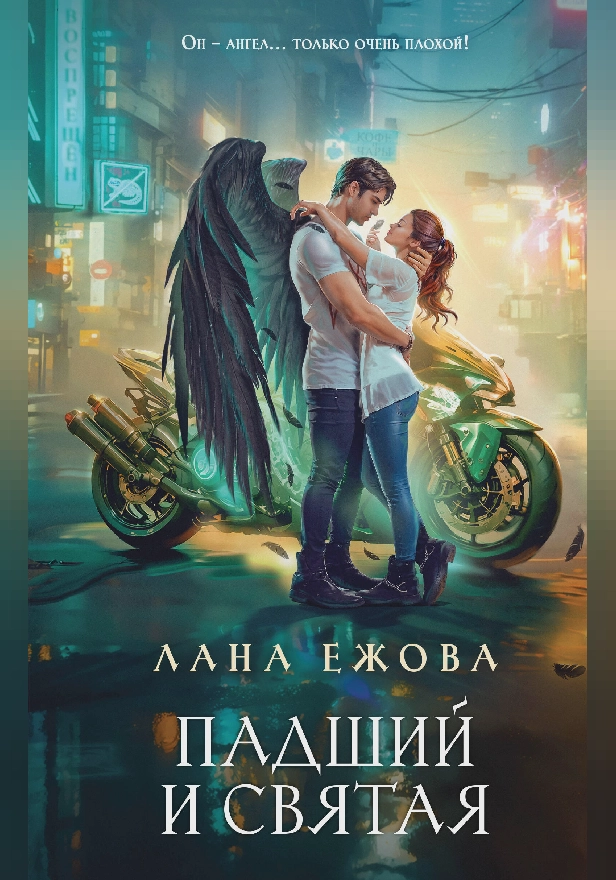 Падший и Святая. Обложка