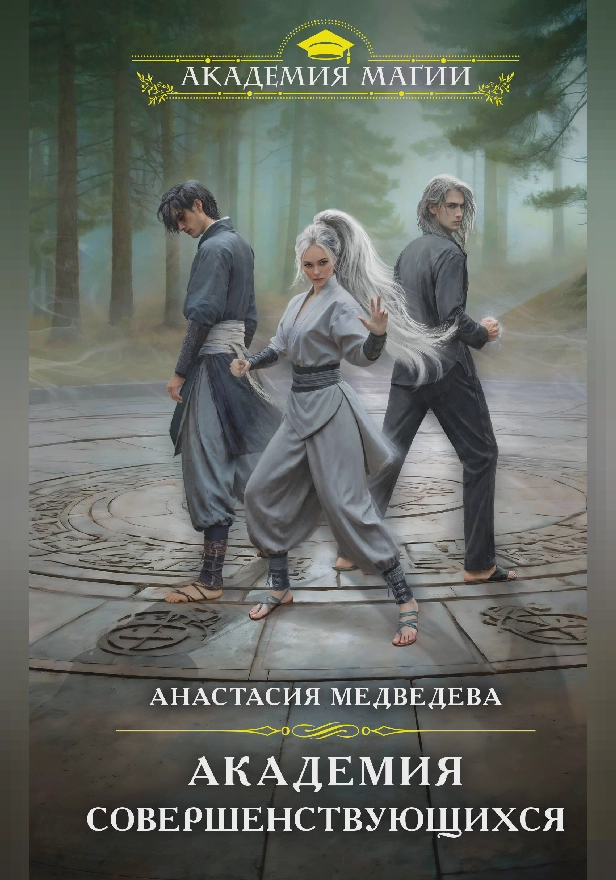 Академия совершенствующихся. Обложка