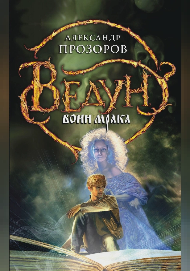 Воин мрака. Обложка