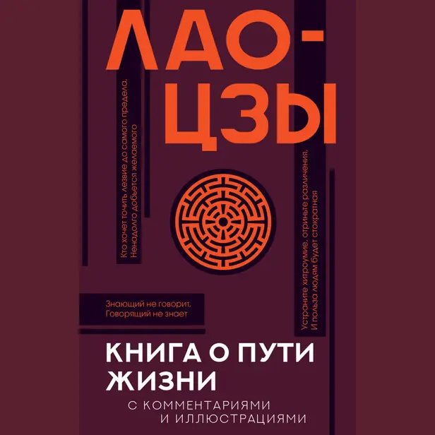 Книга о пути жизни с комментариями и иллюстрациями. Обложка