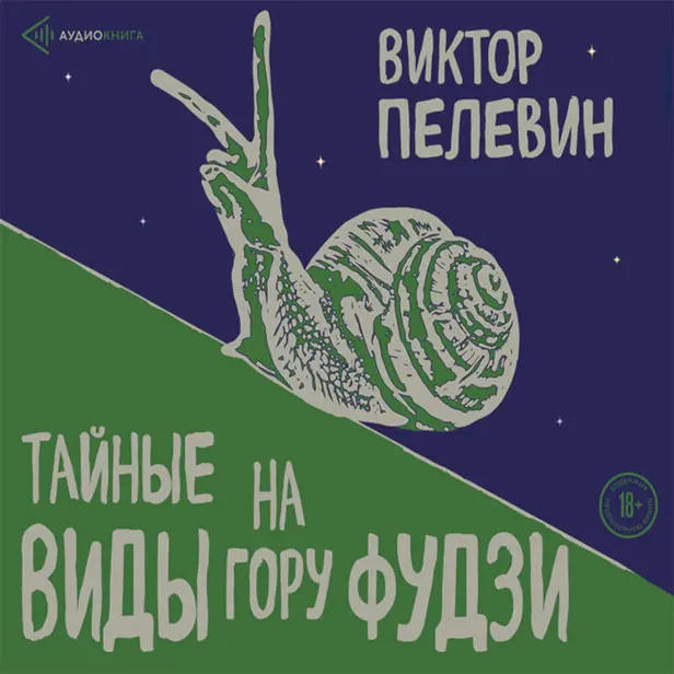 Тайные виды на гору Фудзи. Обложка