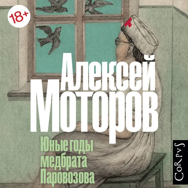 Юные годы медбрата Паровозова. Обложка