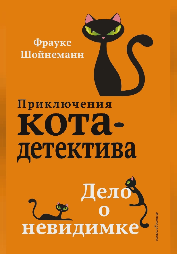 Дело о невидимке. Обложка