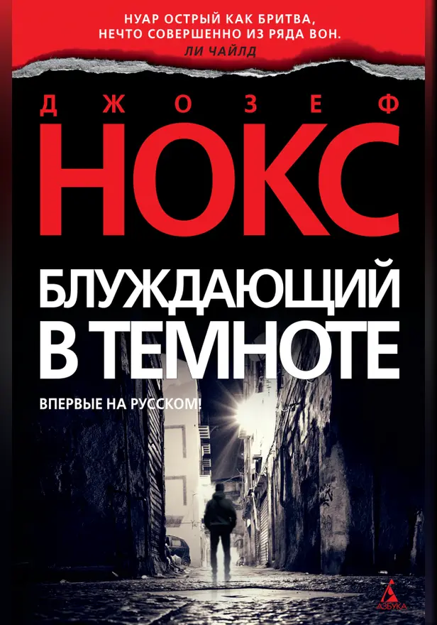 Блуждающий в темноте. Обложка