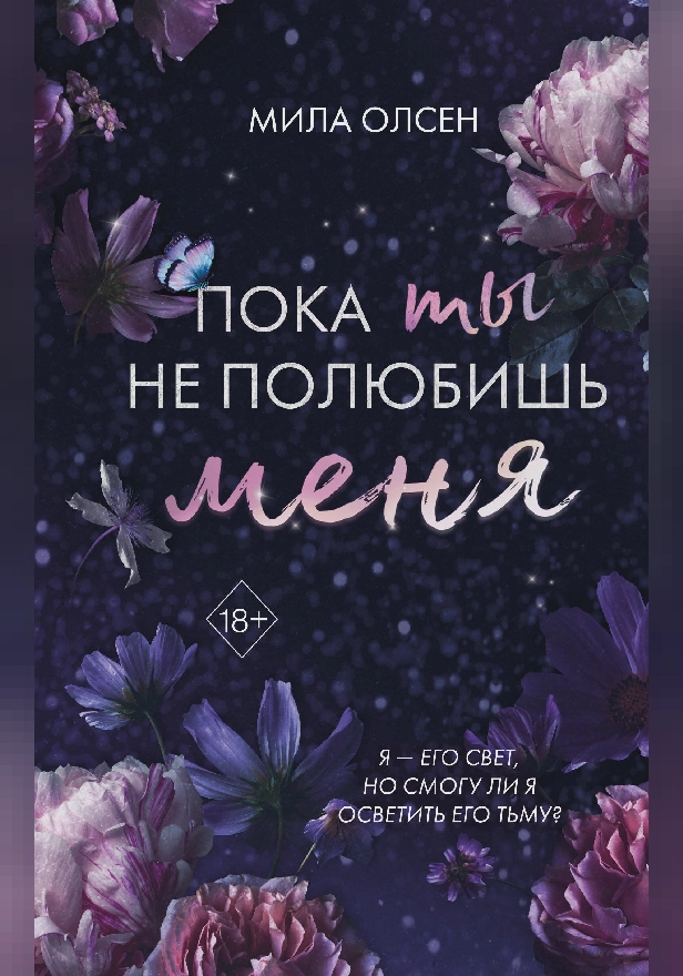 Под северными небесами. Пока ты не полюбишь меня. Обложка