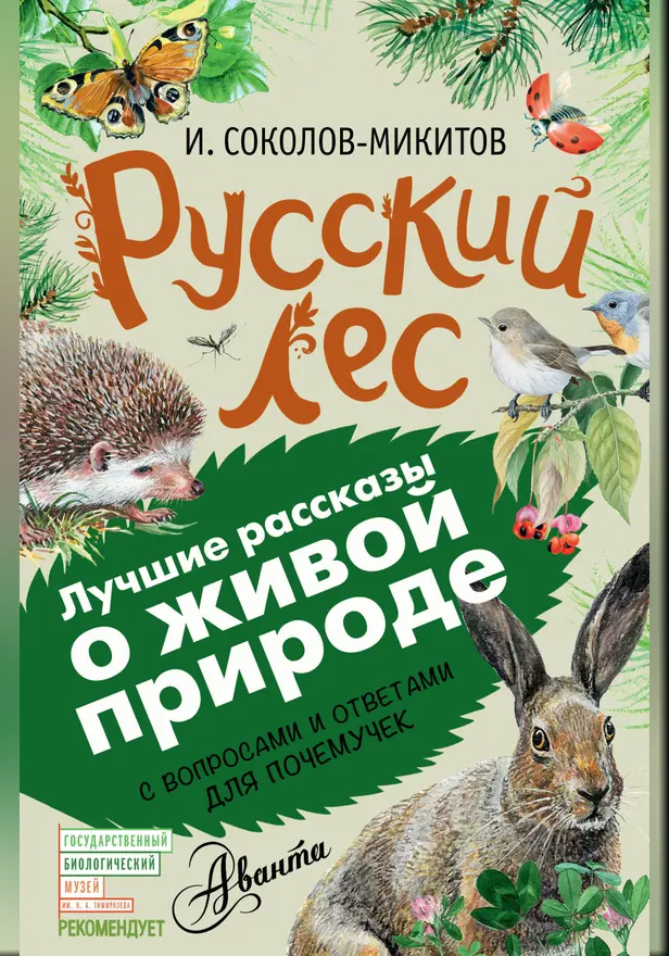 Русский лес. Обложка