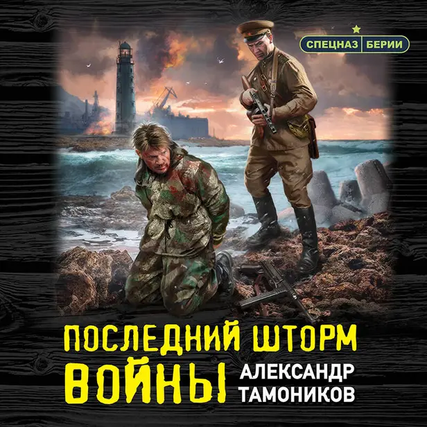 Последний шторм войны. Обложка