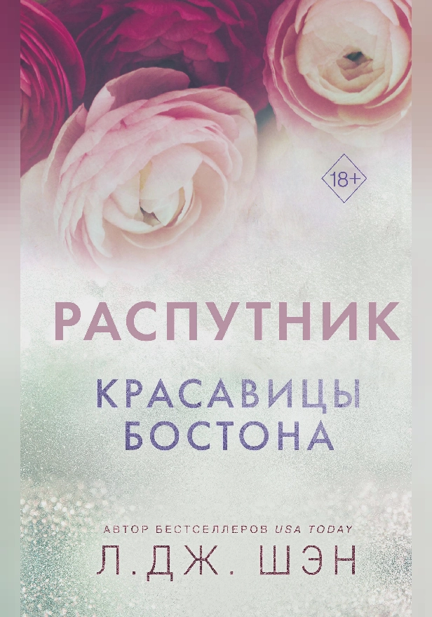 Красавицы Бостона. Распутник. Обложка