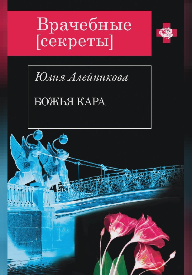 Божья кара. Обложка