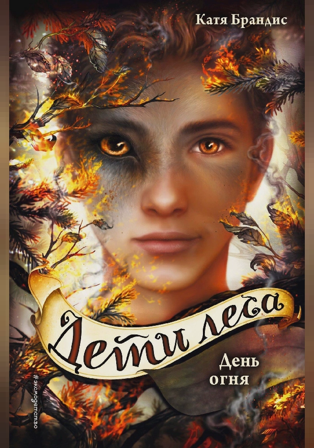 День огня. Обложка