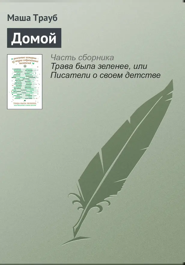Домой. Обложка