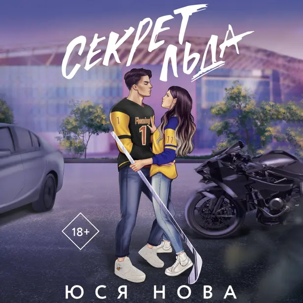 Секрет льда. Обложка