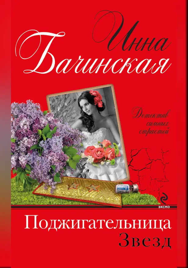 Поджигательница звезд. Обложка