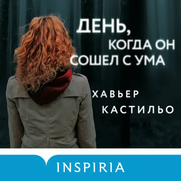 День, когда он сошел с ума. Обложка