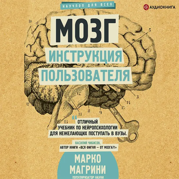 Мозг. Инструкция пользователя. Обложка