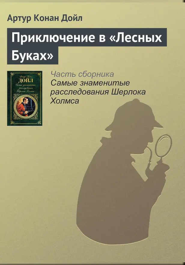 Приключение в «Лесных Буках». Обложка