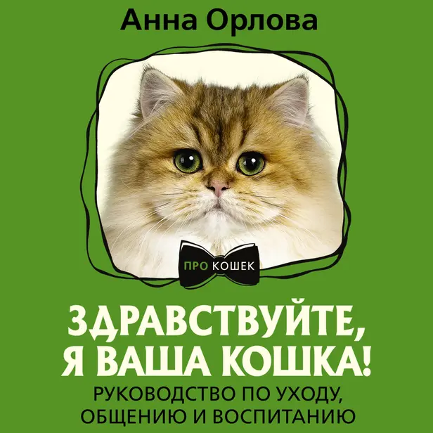 Здравствуйте, я ваша кошка! Руководство по уходу, общению и воспитанию. Обложка