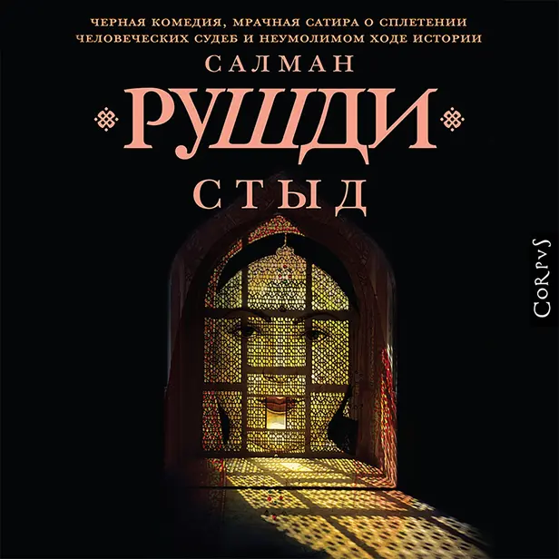 Стыд. Обложка