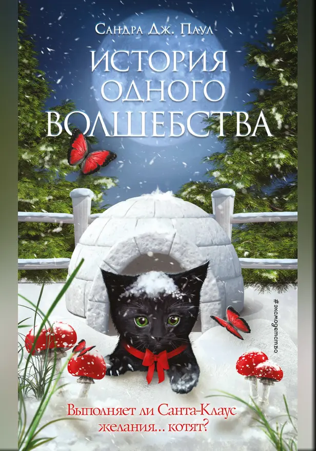 История одного волшебства. Обложка
