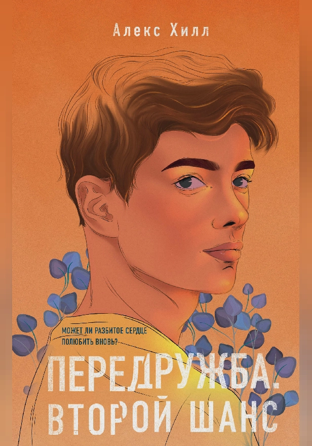 Передружба. Второй шанс. Обложка