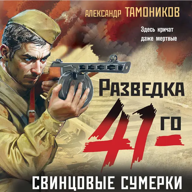 Свинцовые сумерки. Обложка