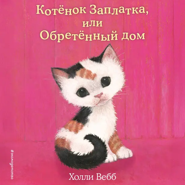Котёнок Заплатка, или Обретённый дом. Обложка