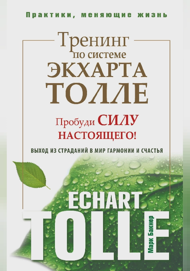 Тренинг по системе Экхарта Толле. Пробуди силу настоящего! Выход из страданий в мир гармонии и счастья. Обложка
