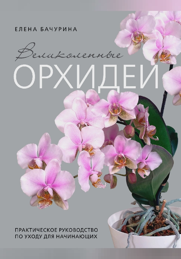 Великолепные орхидеи. Практичное руководство по уходу для начинающих. Обложка