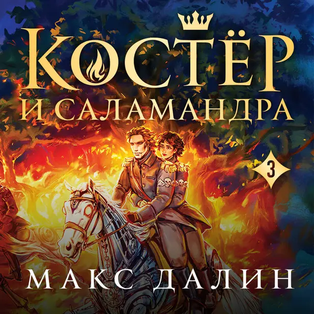 Костер и Саламандра. Книга 3. Обложка