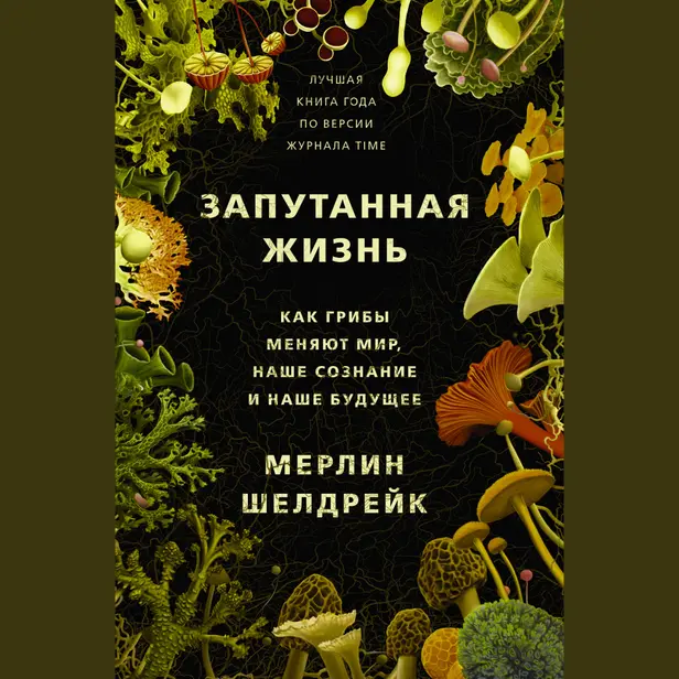 Запутанная жизнь. Как грибы меняют мир, наше сознание и наше будущее. Обложка
