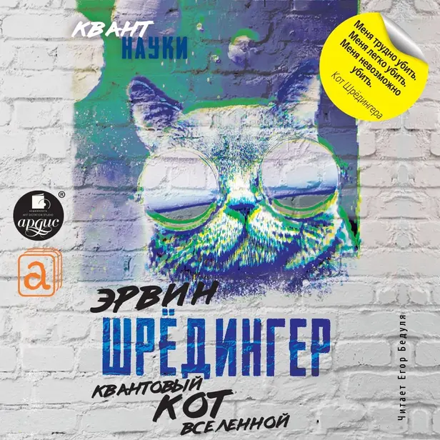 Квантовый кот вселенной. Обложка