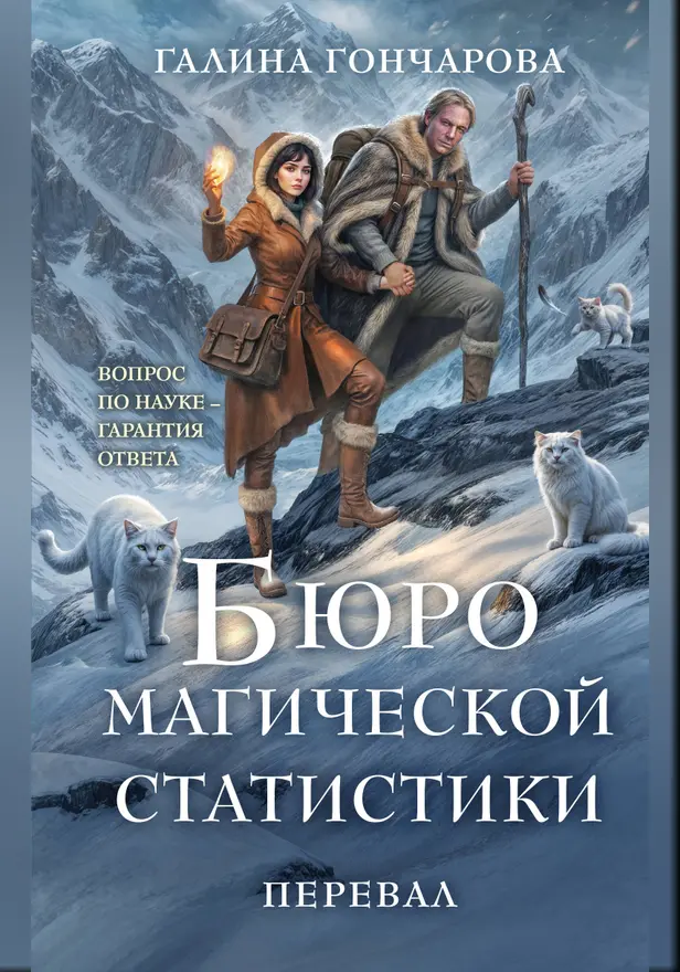 Бюро магической статистики. Перевал. Обложка