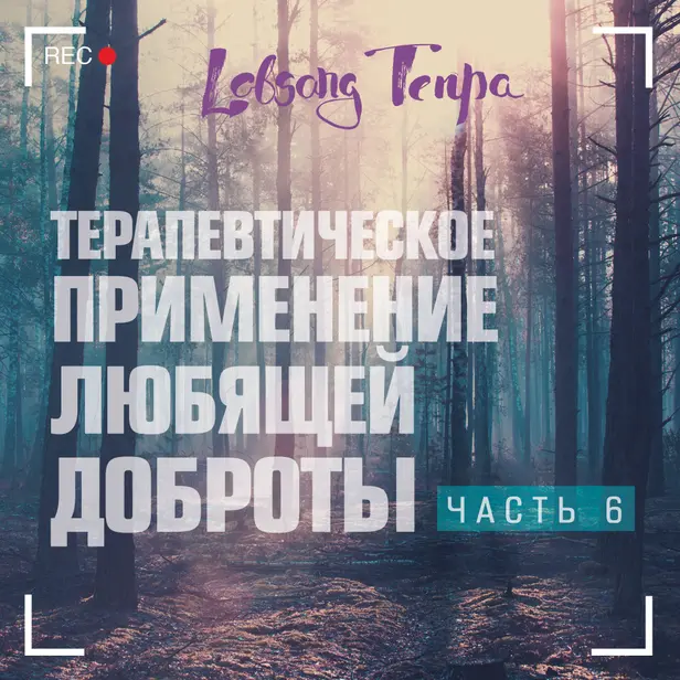 Терапевтическое применение практики любящей доброты. Часть 6. Обложка