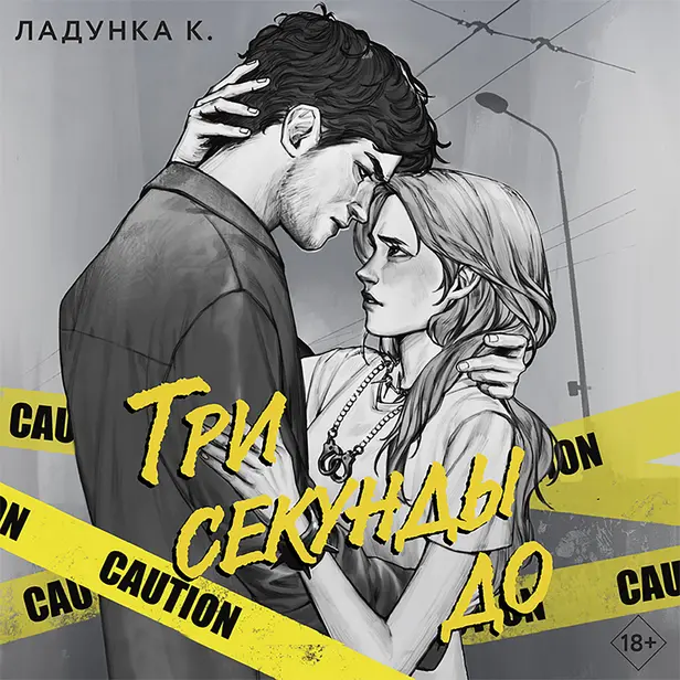 Три секунды до. Обложка