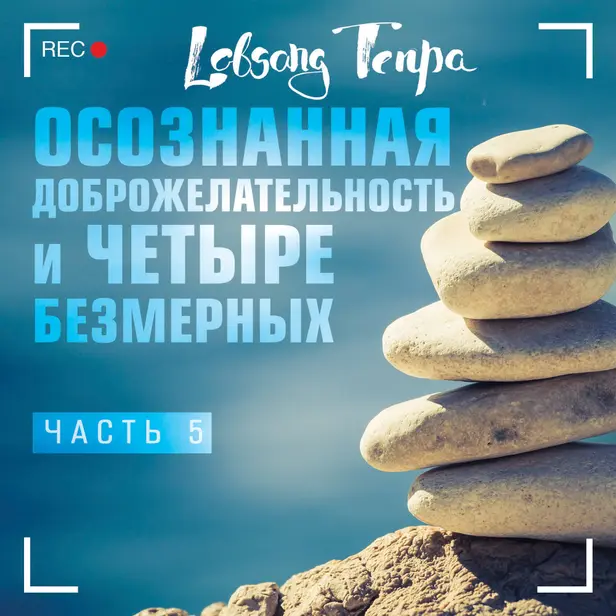 Осознанная доброжелательность и четыре безмерных. Часть 5. Обложка
