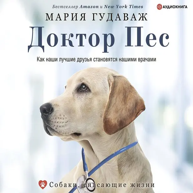 Доктор Пес. Как наши лучшие друзья становятся нашими врачами. Обложка