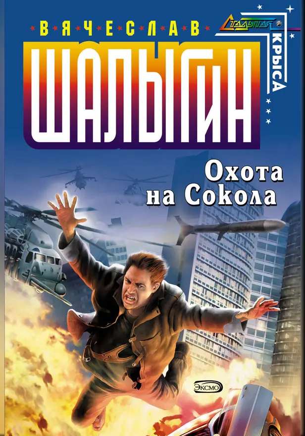 Охота на Сокола. Обложка