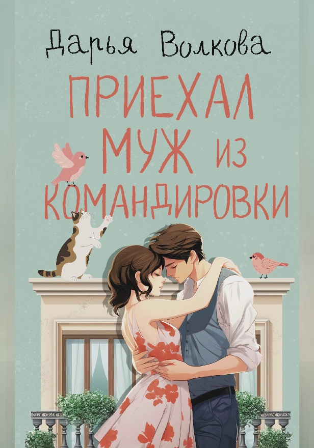 Приехал муж из командировки. Обложка