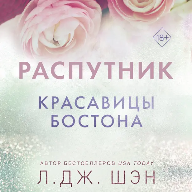 Красавицы Бостона. Распутник. Обложка