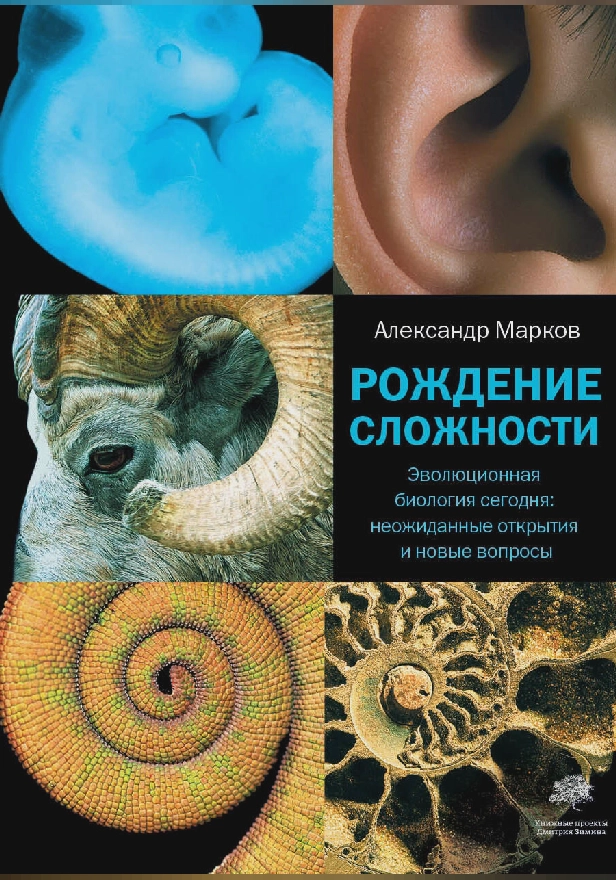 Рождение сложности. Эволюционная биология сегодня: неожиданные открытия и новые. Обложка