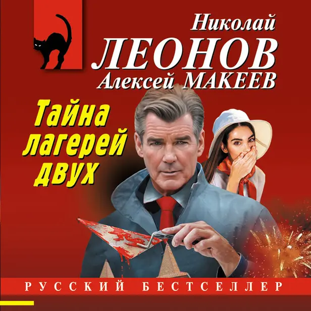 Тайна двух лагерей. Обложка